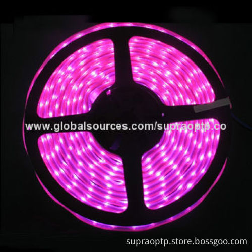 Blue Color Flexible LED Strip, 60 Pieces of 3528 SMD LEDs/Meter, 120 Degrees Beam Angle